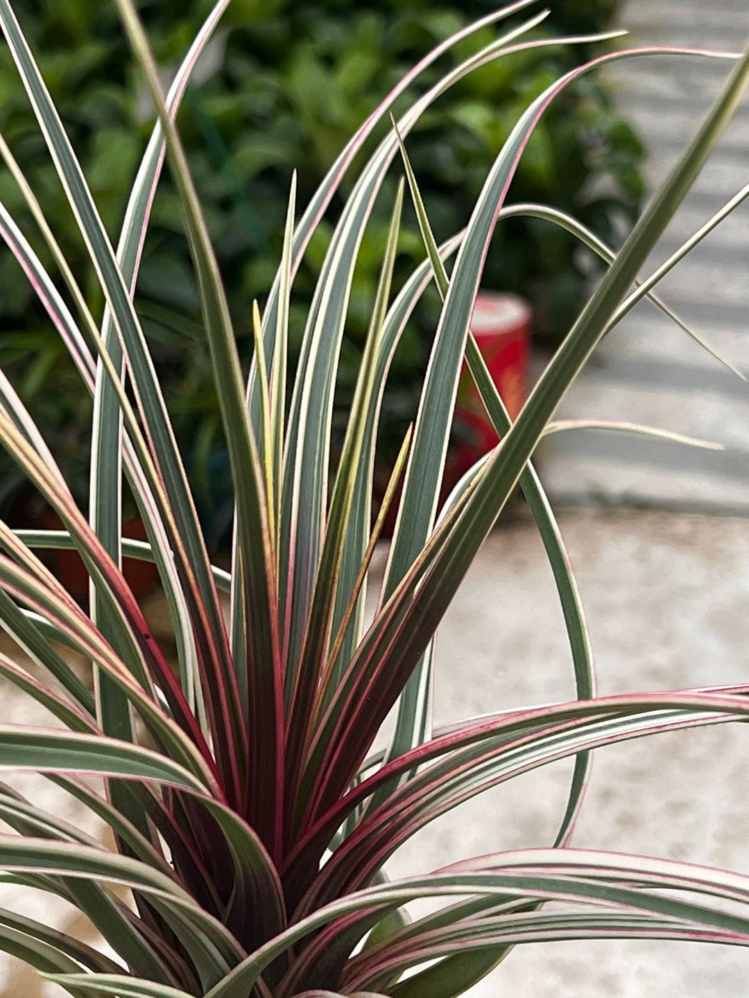 7660F0F6-7BE2-410F-BEAA-