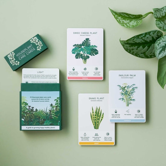 snake plant care card Houseplant Care Cards