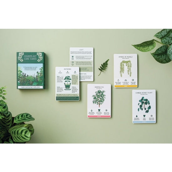 indoor plant advice Houseplant Care Cards