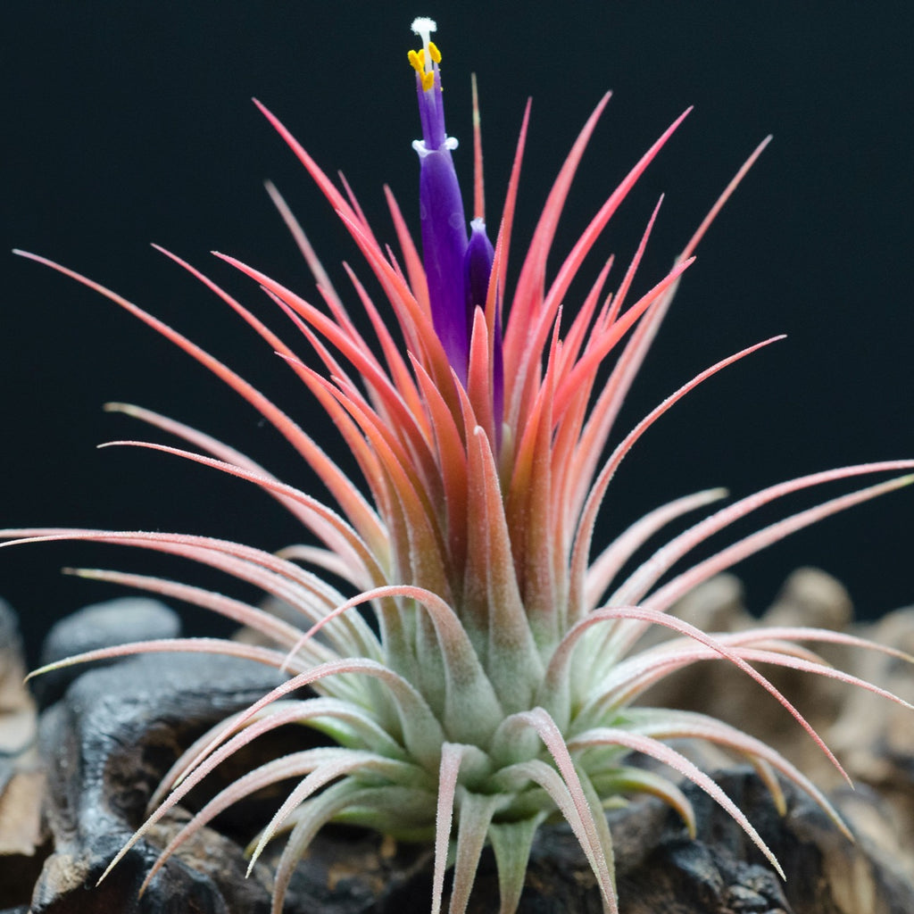 5b7d7961-5810-4cc5-b015-