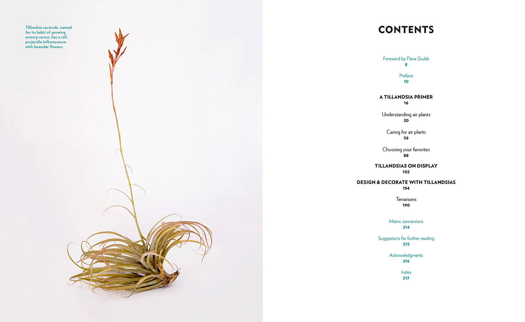 air plants the curious world of tillandsias Air Plants - The Curious World of Tillandsia