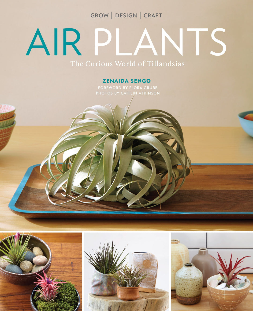 Air Plants - The Curious World of Tillandsia - Book – The Artizan Way
