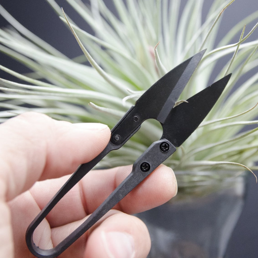 bonsai tree scissors Bonsai Scissors