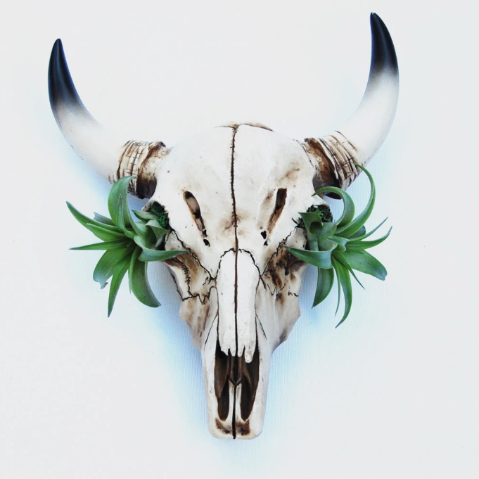 cow skull succulent planter Skull Wall Garden – The Artizan Way