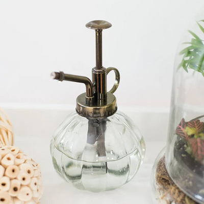 mister for succulents Vintage Plant Mister