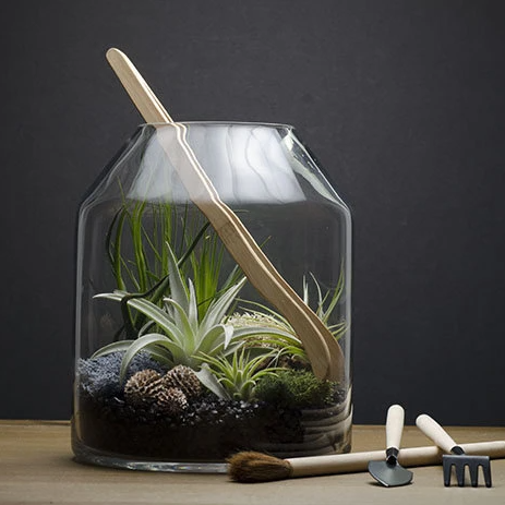 Artizan Terrarium Kit