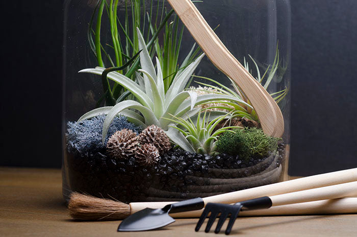 Artizan Terrarium Kit – The Artizan Way