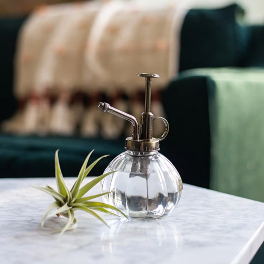 Vintage Plant Mister – The Artizan Way