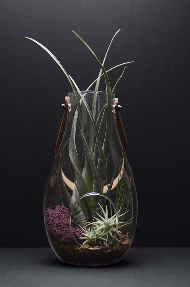 leather air plant holder Jess Lantern Terrarium Kit – The Artizan Way