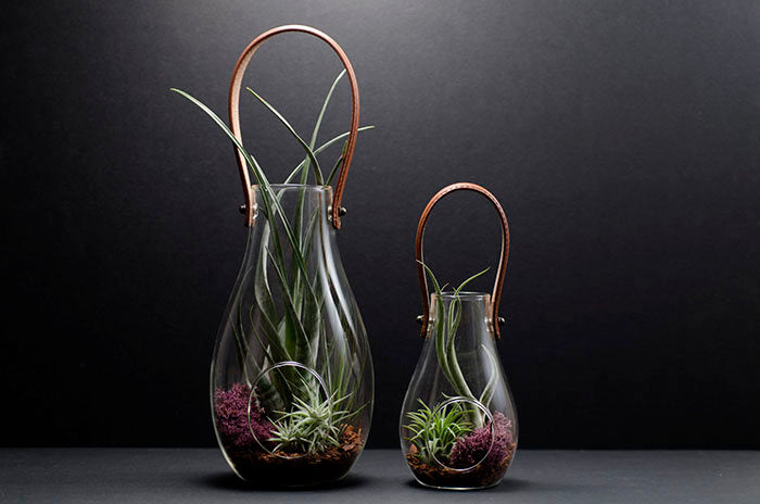 hanging air plant terrarium kit Jess Lantern Terrarium Kit – The Artizan Way