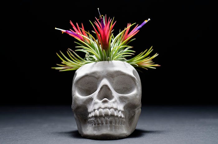 Sugar Skull Planter – The Artizan Way