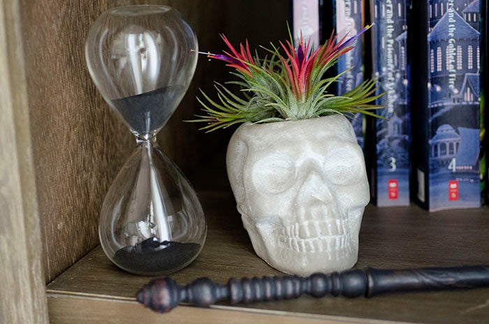 sugar skull succulent planter Sugar Skull Planter – The Artizan Way