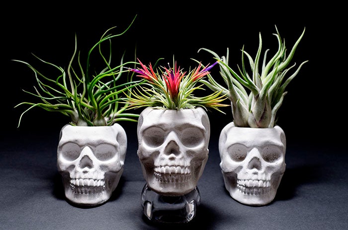 skull pot plant Sugar Skull Planter – The Artizan Way