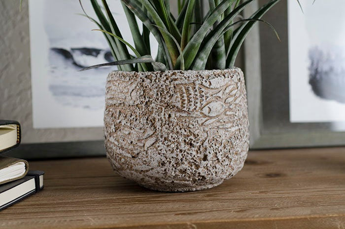 Rustic Ceramic store Plant Pot