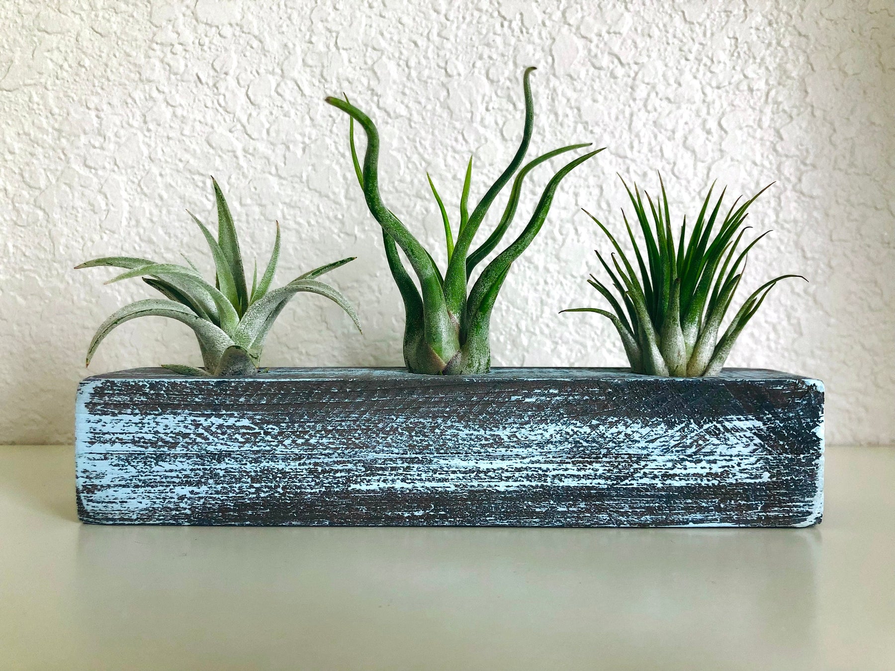Artificial Air Plant in handmade Concrete Pot with Wood Tray – Ursina's  Deco Shop