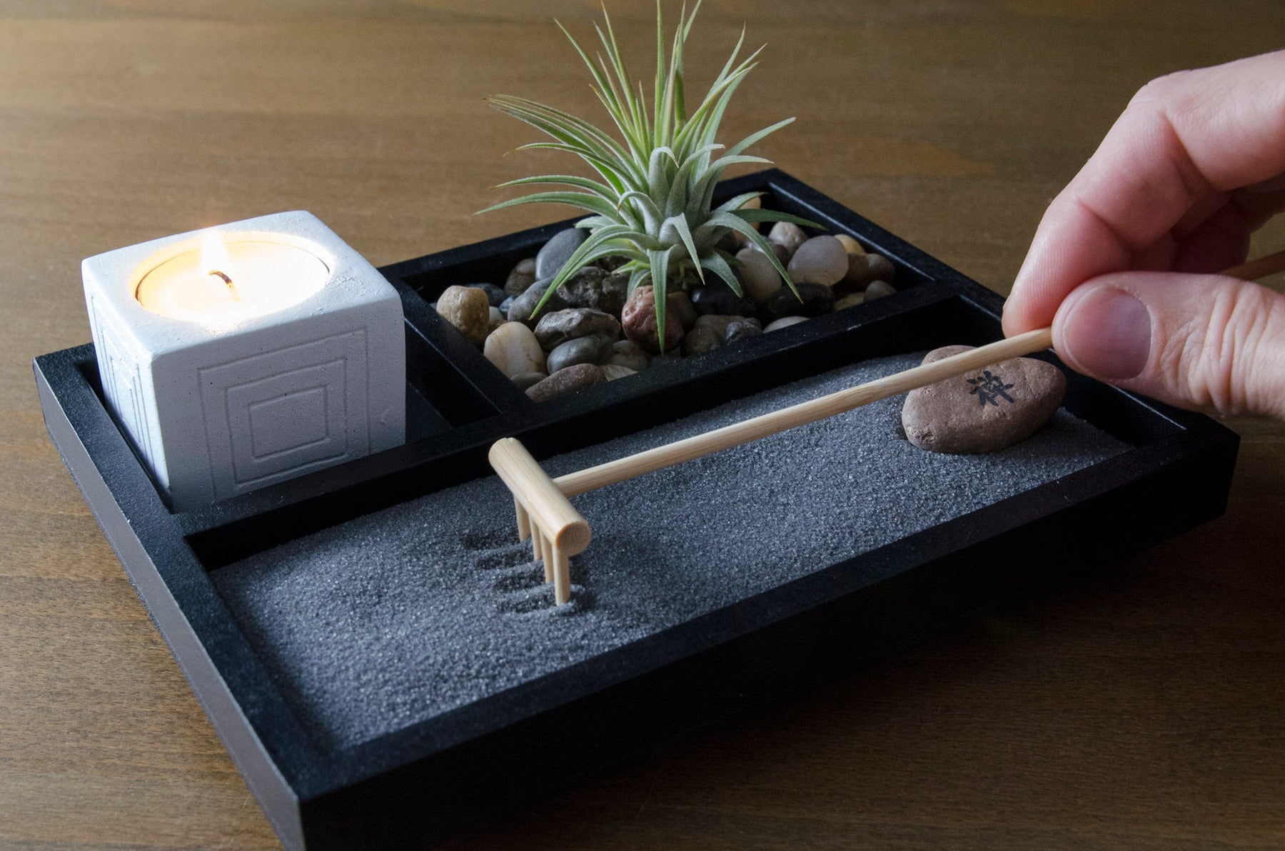 zen air plant Zen Garden Kit - Black