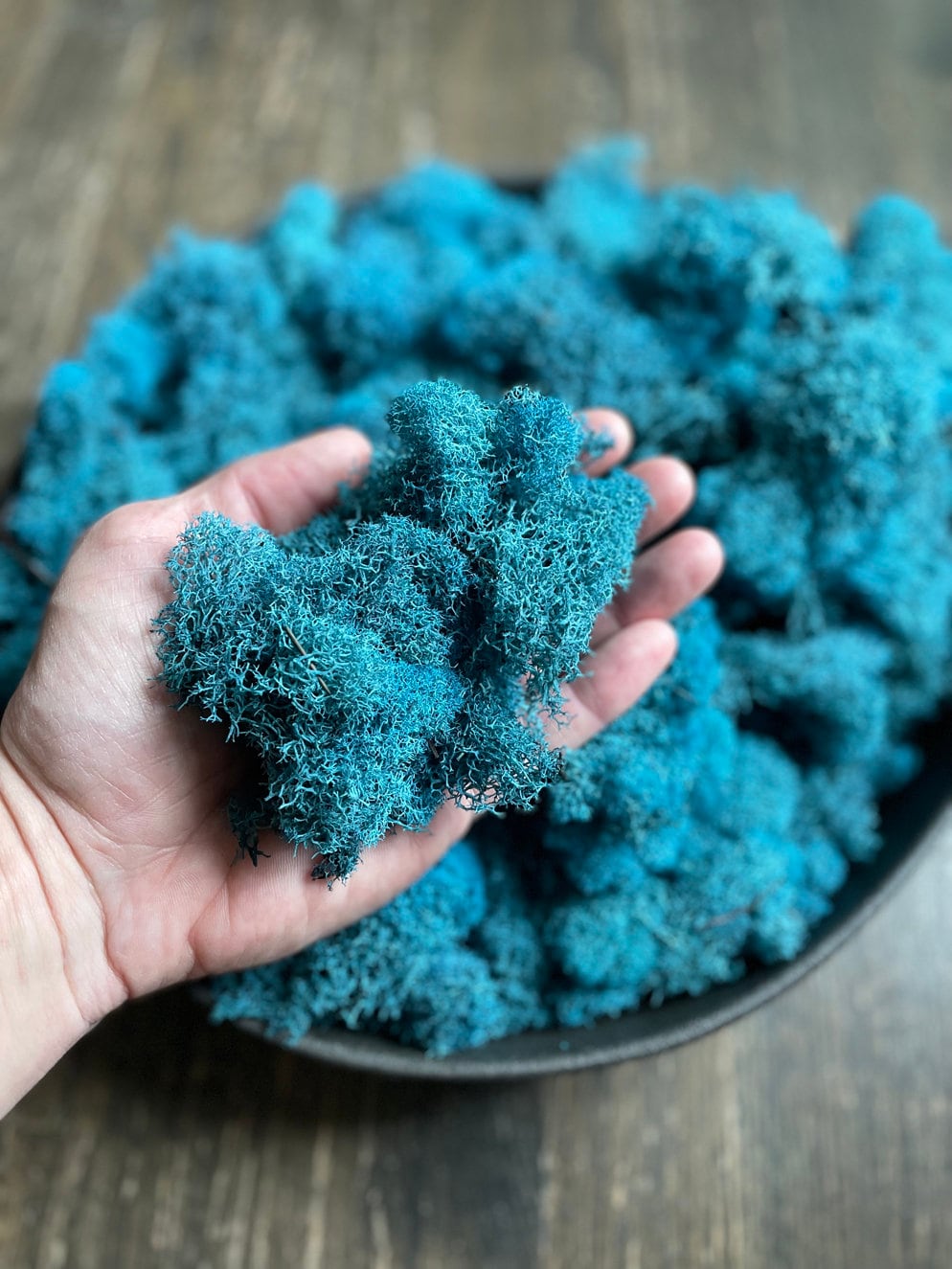 Preserved Reindeer Moss - Blue – The Artizan Way