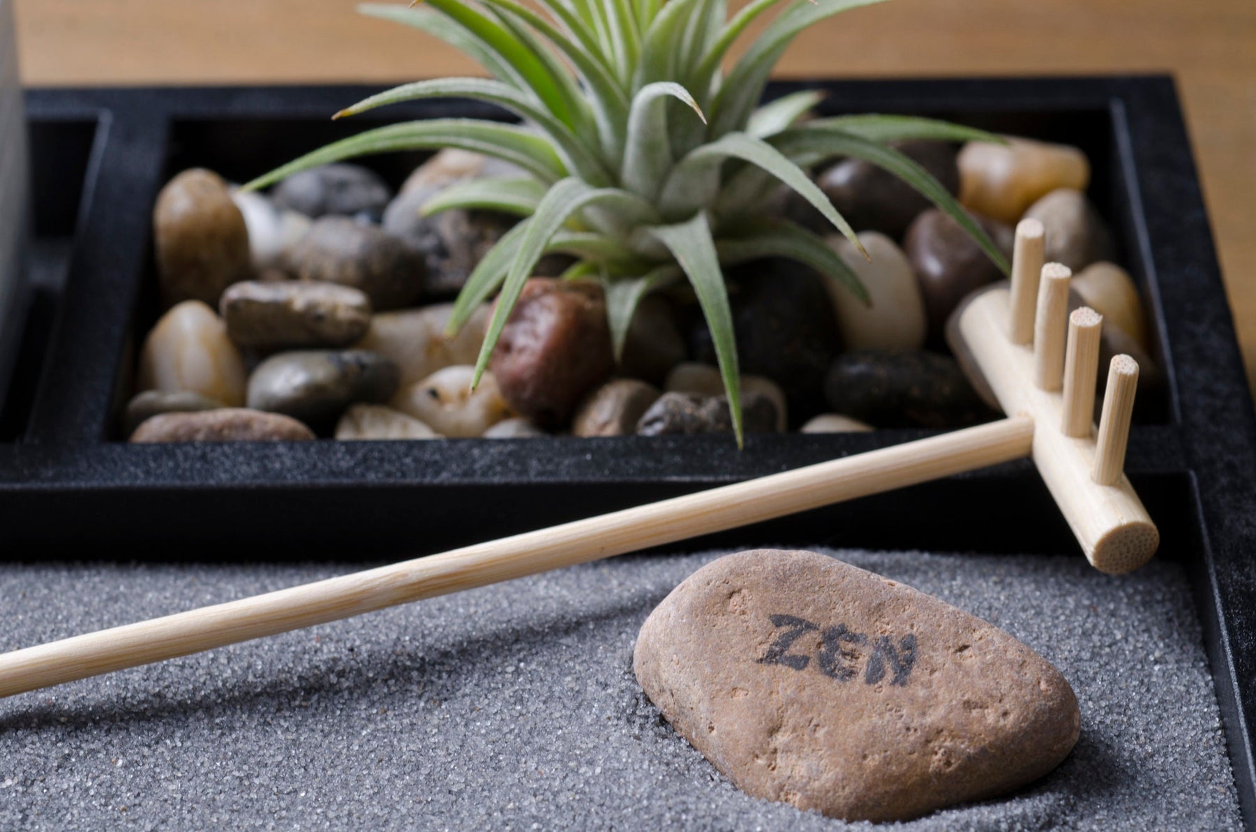 air plant zen garden Zen Garden Kit - Black