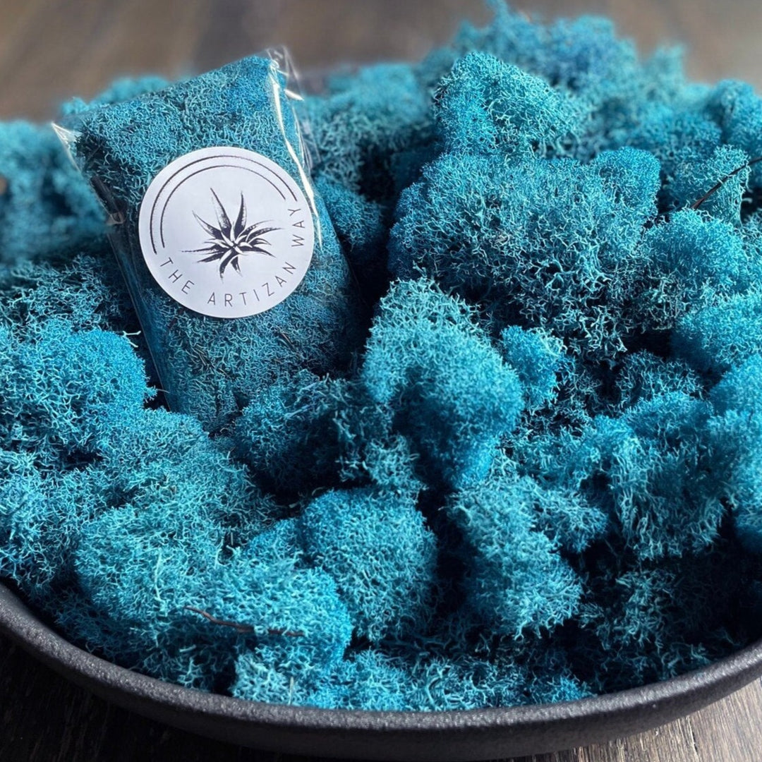 mossmoss Preserved Reindeer Moss - Blue – The Artizan Way