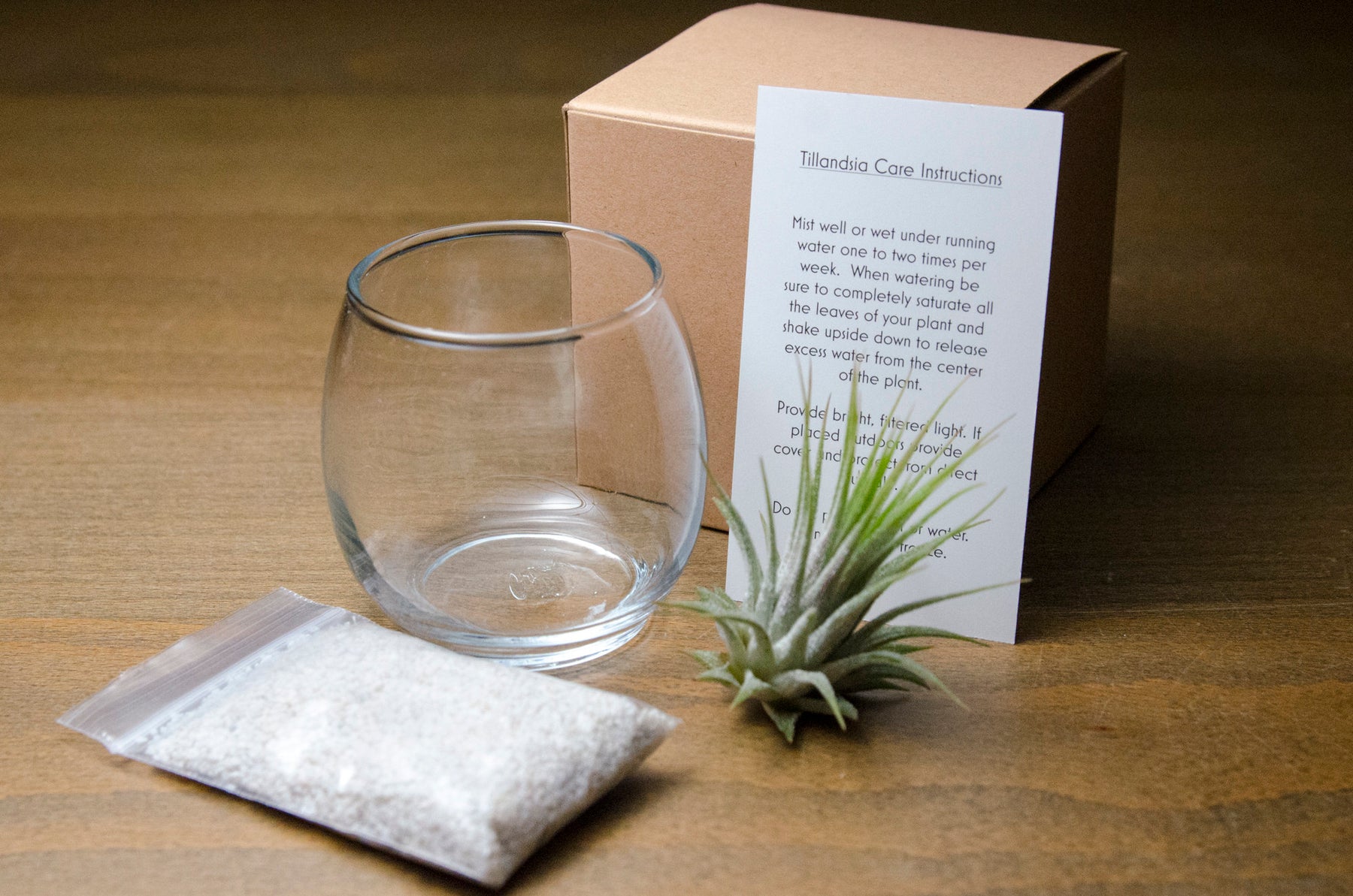 air plant box Tiny Air Plant Terrarium Kit – The Artizan Way