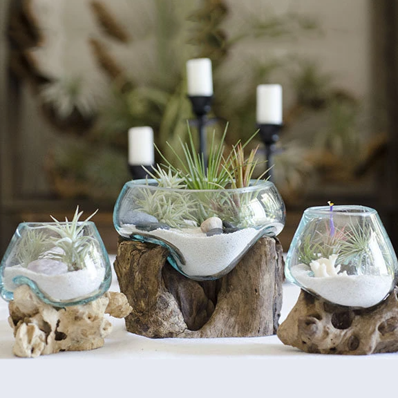 Custom glass terrarium hotsell